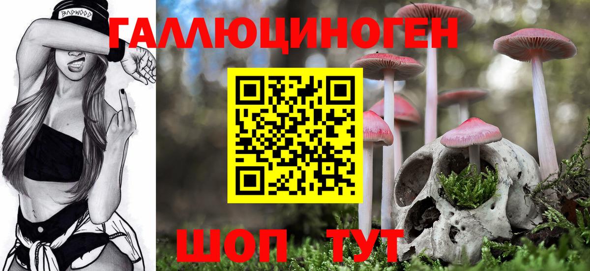 Галлюциногенные грибы Psilocybine cubensis  Псилоцибиновые грибы Psilocybe  Пыть-Ях  Вход с VPN 